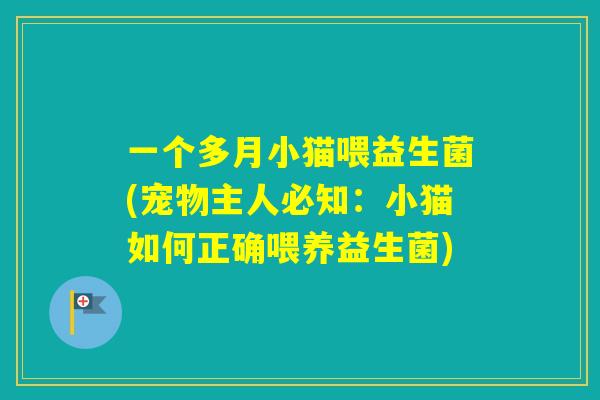 一个多月小猫喂益生菌(宠物主人必知:小猫如何正确喂养益生菌) 一个多月小猫喂益生菌(宠物主人必知:小猫如何正确喂养益生菌)
