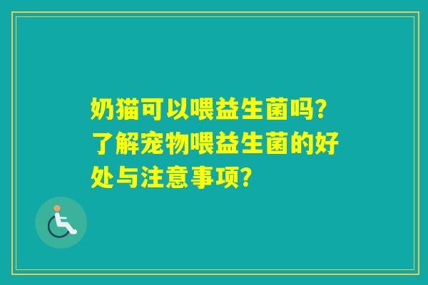 奶猫可以喂益生菌吗？了解宠物喂益生菌的好处与注意事项？