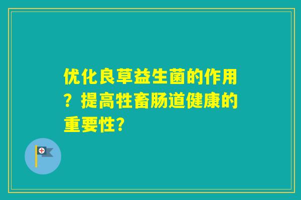 优化良草益生菌的作用?提高牲畜肠道健康的重要性? 优化良草益生菌的作用?提高牲畜肠道健康的重要性?