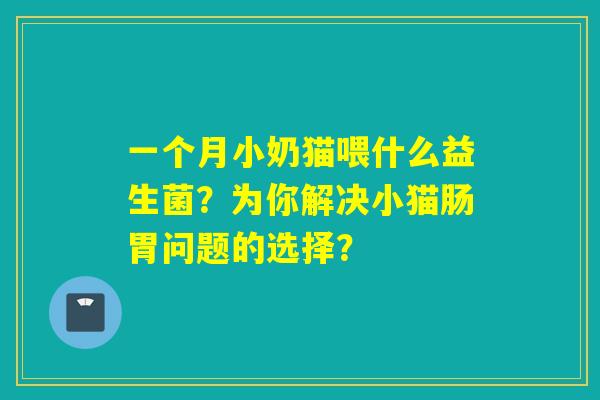 一个月小奶猫喂什么益生菌？为你解决小猫肠胃问题的选择？
