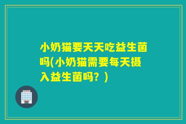 小奶猫要天天吃益生菌吗(小奶猫需要每天摄入益生菌吗？)