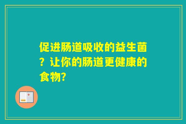 促进肠道吸收的益生菌？让你的肠道更健康的食物？