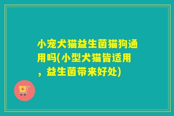 小宠犬猫益生菌猫狗通用吗(小型犬猫皆适用，益生菌带来好处)