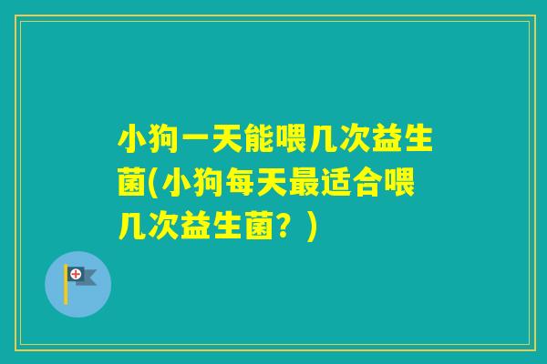 小狗一天能喂几次益生菌(小狗每天适合喂几次益生菌？)
