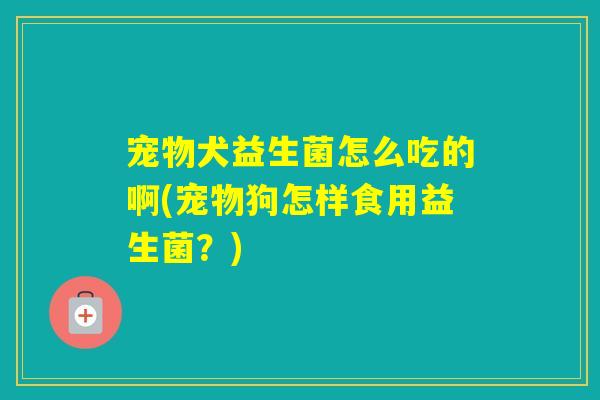 宠物犬益生菌怎么吃的啊(宠物狗怎样食用益生菌？)
