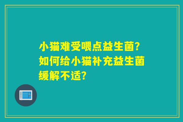 小猫难受喂点益生菌？如何给小猫补充益生菌缓解不适？