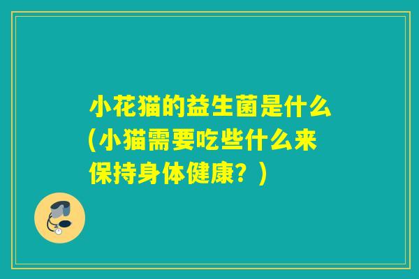 小花猫的益生菌是什么(小猫需要吃些什么来保持身体健康?) 小花猫的益生菌是什么(小猫需要吃些什么来保持身体健康?)