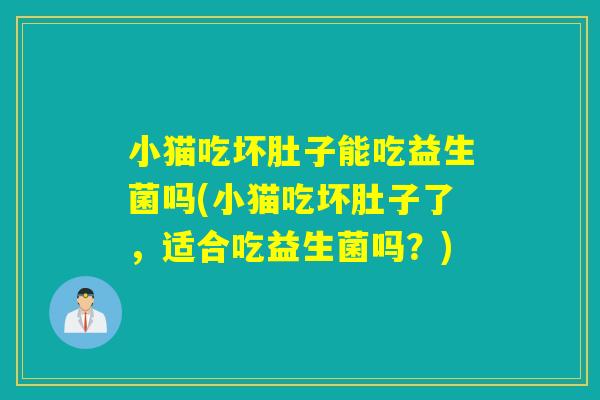 小猫吃坏肚子能吃益生菌吗(小猫吃坏肚子了，适合吃益生菌吗？)