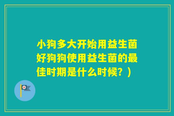 小狗多大开始用益生菌好狗狗使用益生菌的佳时期是什么时候?) 小狗多大开始用益生菌好狗狗使用益生菌的佳时期是什么时候?)