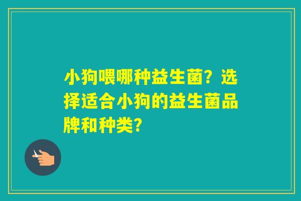 小狗喂哪种益生菌？选择适合小狗的益生菌品牌和种类？