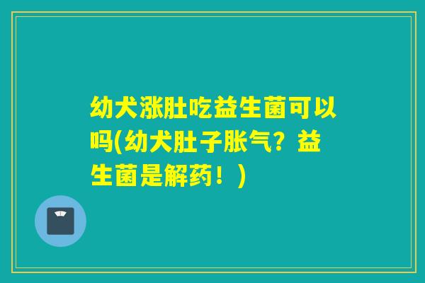 幼犬涨肚吃益生菌可以吗(幼犬肚子？益生菌是解药！)