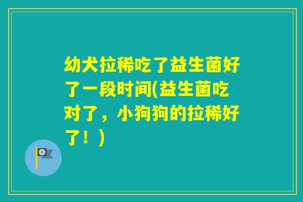 幼犬拉稀吃了益生菌好了一段时间(益生菌吃对了，小狗狗的拉稀好了！)