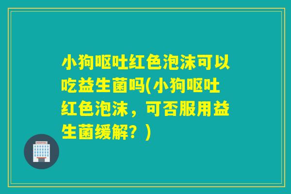 小狗红色泡沫可以吃益生菌吗(小狗红色泡沫，可否服用益生菌缓解？)
