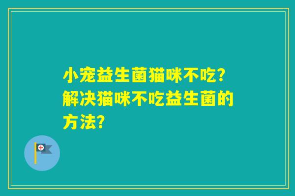 小宠益生菌猫咪不吃？解决猫咪不吃益生菌的方法？