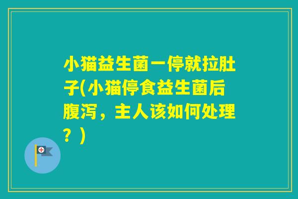小猫益生菌一停就拉肚子(小猫停食益生菌后，主人该如何处理？)