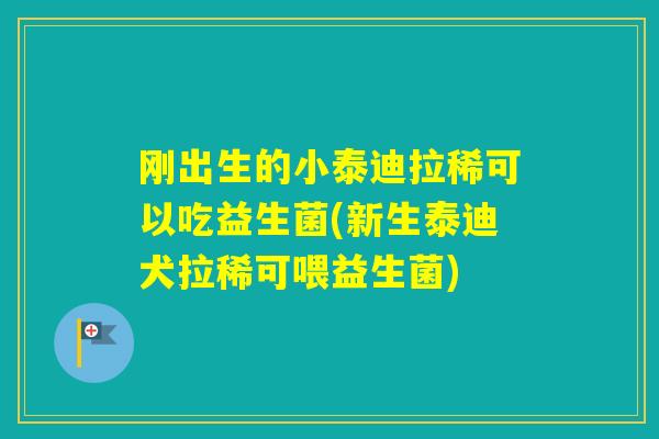 刚出生的小泰迪拉稀可以吃益生菌(新生泰迪犬拉稀可喂益生菌) 刚出生的小泰迪拉稀可以吃益生菌(新生泰迪犬拉稀可喂益生菌)