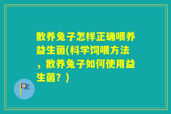 散养兔子怎样正确喂养益生菌(科学饲喂方法，散养兔子如何使用益生菌？)