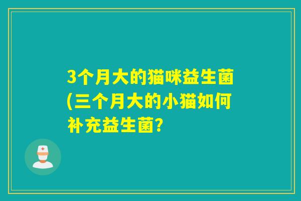 3个月大的猫咪益生菌(三个月大的小猫如何补充益生菌？