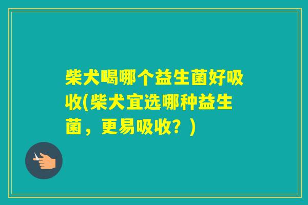 柴犬喝哪个益生菌好吸收(柴犬宜选哪种益生菌，更易吸收？)