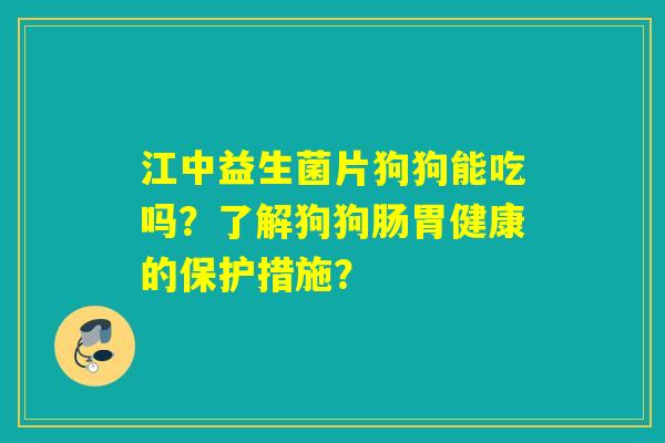 江中益生菌片狗狗能吃吗？了解狗狗肠胃健康的保护措施？