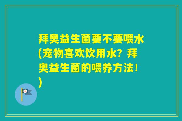 拜奥益生菌要不要喂水(宠物喜欢饮用水？拜奥益生菌的喂养方法！)