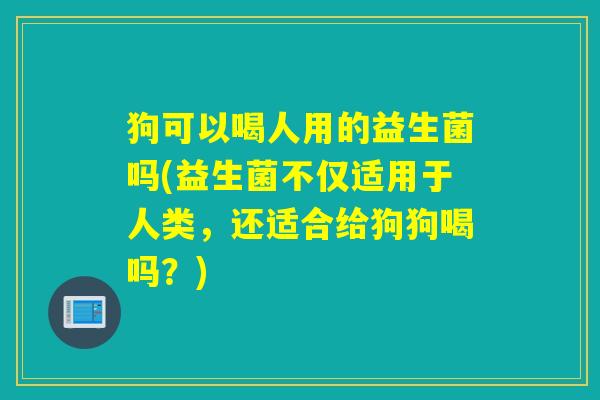 狗可以喝人用的益生菌吗(益生菌不仅适用于人类，还适合给狗狗喝吗？)