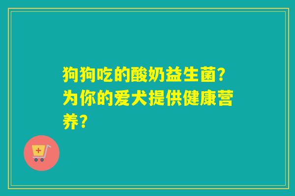 狗狗吃的酸奶益生菌？为你的爱犬提供健康营养？