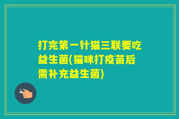 打完第一针猫三联要吃益生菌(猫咪打疫苗后需补充益生菌) 打完第一针猫三联要吃益生菌(猫咪打疫苗后需补充益生菌)