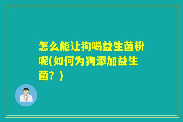 怎么能让狗喝益生菌粉呢(如何为狗添加益生菌？)