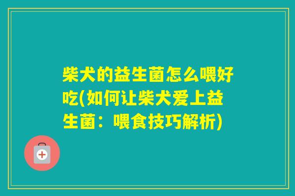 柴犬的益生菌怎么喂好吃(如何让柴犬爱上益生菌:喂食技巧解析) 柴犬的益生菌怎么喂好吃(如何让柴犬爱上益生菌:喂食技巧解析)