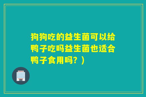狗狗吃的益生菌可以给鸭子吃吗益生菌也适合鸭子食用吗？)
