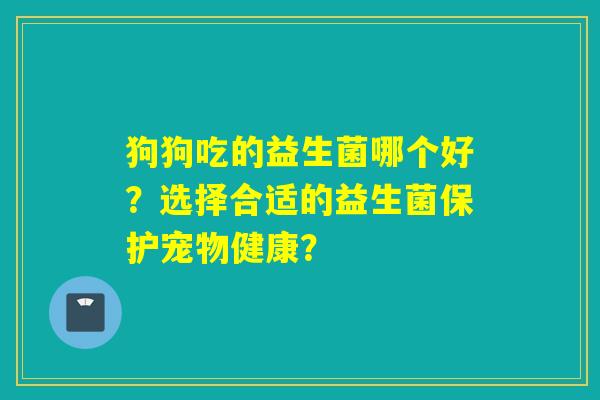 狗狗吃的益生菌哪个好？选择合适的益生菌保护宠物健康？