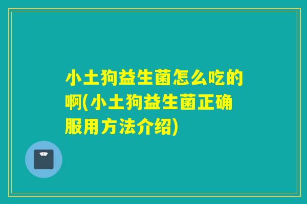小土狗益生菌怎么吃的啊(小土狗益生菌正确服用方法介绍)