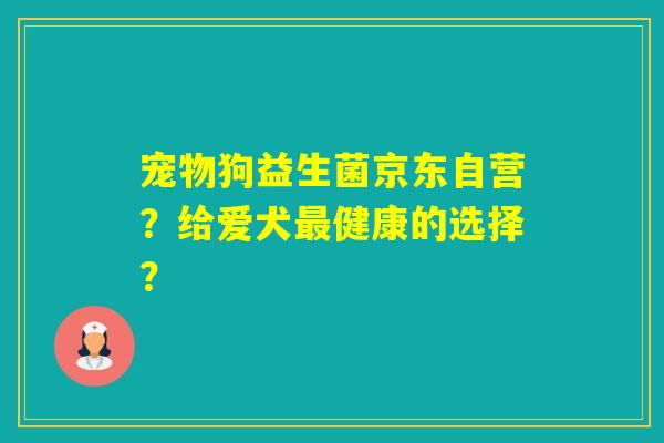 宠物狗益生菌京东自营？给爱犬健康的选择？