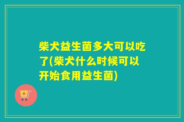 柴犬益生菌多大可以吃了(柴犬什么时候可以开始食用益生菌)