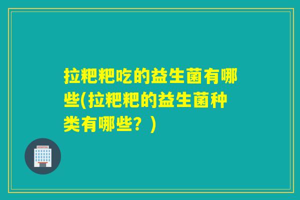 拉粑粑吃的益生菌有哪些(拉粑粑的益生菌种类有哪些？)