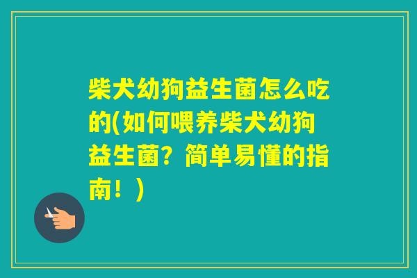 柴犬幼狗益生菌怎么吃的(如何喂养柴犬幼狗益生菌？简单易懂的指南！)