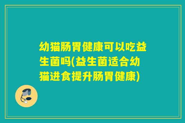 幼猫肠胃健康可以吃益生菌吗(益生菌适合幼猫进食提升肠胃健康)