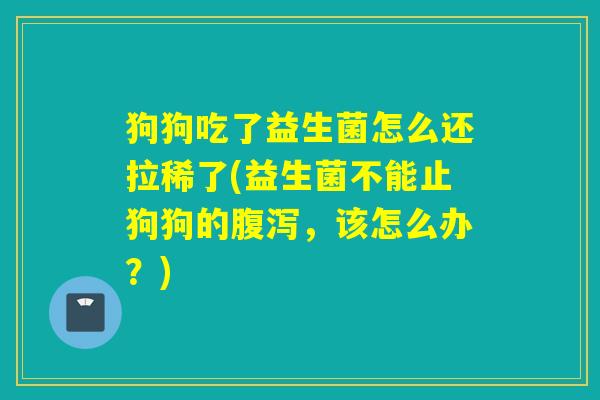 狗狗吃了益生菌怎么还拉稀了(益生菌不能止狗狗的，该怎么办？)