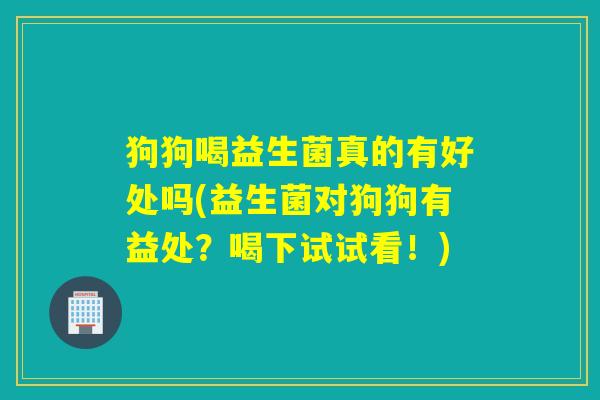 狗狗喝益生菌真的有好处吗(益生菌对狗狗有益处？喝下试试看！)