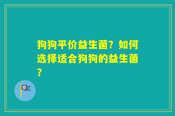 狗狗平价益生菌?如何选择适合狗狗的益生菌? 狗狗平价益生菌?如何选择适合狗狗的益生菌?