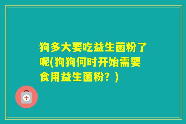 狗多大要吃益生菌粉了呢(狗狗何时开始需要食用益生菌粉？)