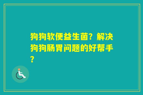 狗狗软便益生菌？解决狗狗肠胃问题的好帮手？
