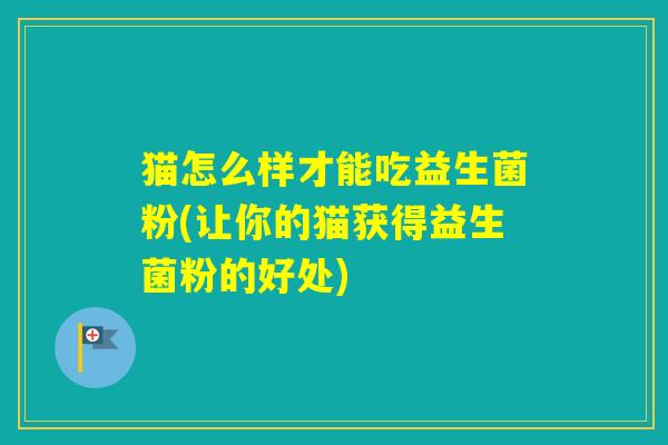 猫怎么样才能吃益生菌粉(让你的猫获得益生菌粉的好处)