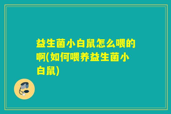 益生菌小白鼠怎么喂的啊(如何喂养益生菌小白鼠)