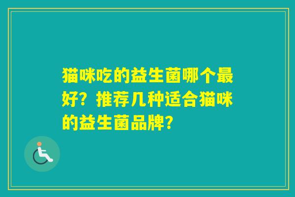 猫咪吃的益生菌哪个好？推荐几种适合猫咪的益生菌品牌？
