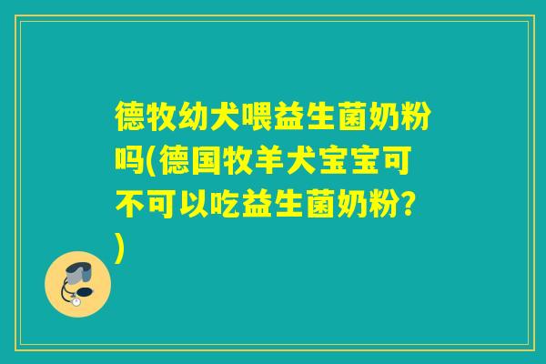 德牧幼犬喂益生菌奶粉吗(德国牧羊犬宝宝可不可以吃益生菌奶粉?) 德牧幼犬喂益生菌奶粉吗(德国牧羊犬宝宝可不可以吃益生菌奶粉?)