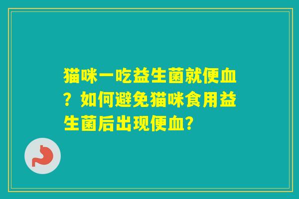 猫咪一吃益生菌就便？如何避免猫咪食用益生菌后出现便？