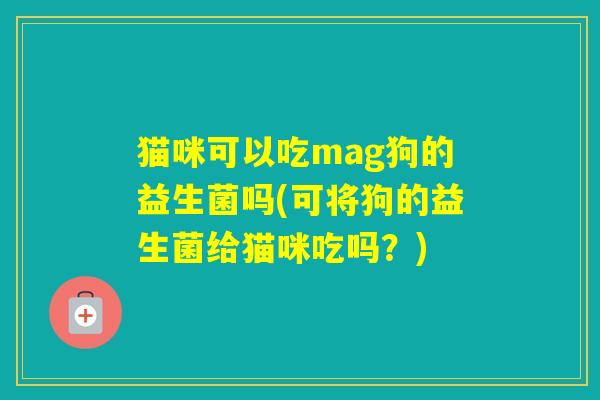 猫咪可以吃mag狗的益生菌吗(可将狗的益生菌给猫咪吃吗？)