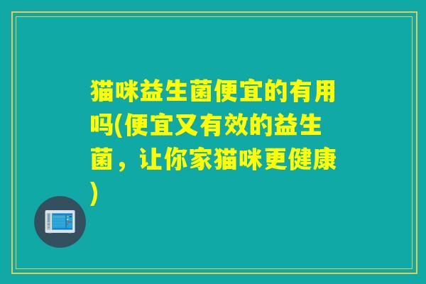 猫咪益生菌便宜的有用吗(便宜又有效的益生菌，让你家猫咪更健康)